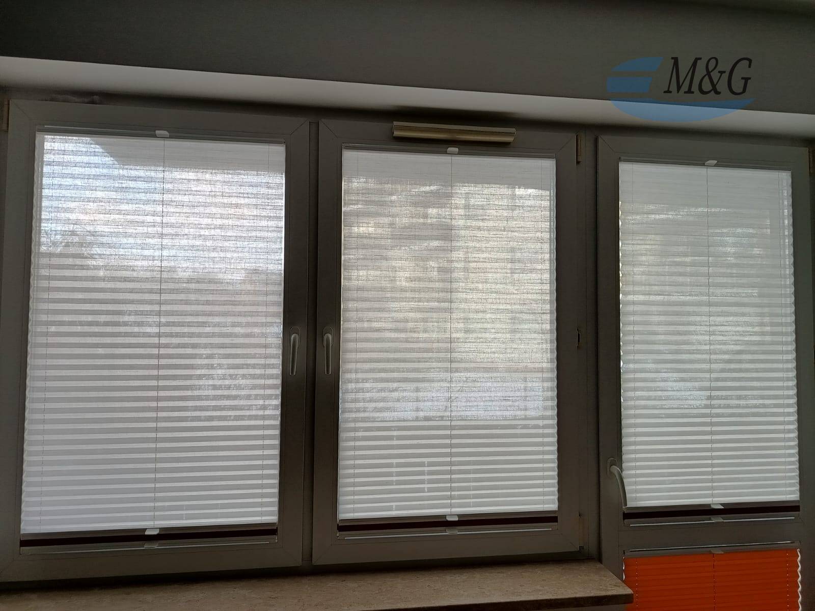 Plisy Dzień Noc Gdańsk | M&G